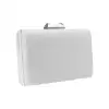 Bolso Clutch de Fiesta Rígido y Cadena - 2110-10